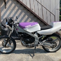 不動　長期倉庫保管　tzr50 3tu　の画像