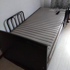 本日限定　電動ベットの画像