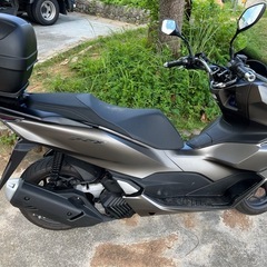 PCX125の画像