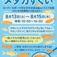 メダカすくい開催します！