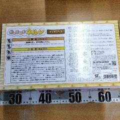 0804-267 だっこしてネルン　クッキーベアの画像
