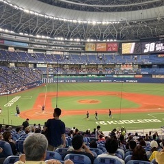 プロ野球ファンの方⚾️