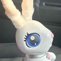 美品 海外版はらぺこバニーの画像