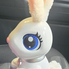 美品 海外版はらぺこバニーの画像