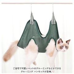 猫の爪切りの画像
