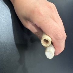 なにかのツノ❓詳細不明です💦の画像