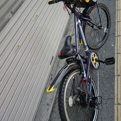 [BRIDGESTONE]CFJ(クロスファイヤージュニア)22型 MTB 外装7段/点灯虫/コスモバイオレットの画像