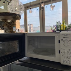 ELSONIC電子レンジ :2020年製【リサイクルフカツ岡崎倉庫店】250804NA-28
の画像