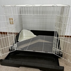 うさぎゲージ　GEX ラビんぐ　スマートルームの画像