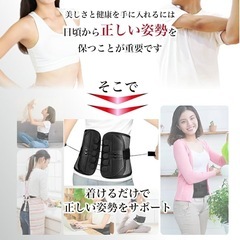 腰 サポーター 骨盤ベルト 腰ベルト サポートベルト 男女兼用 コルセット Lの画像