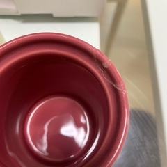 【9月1日処分予定】スパイスポットの画像