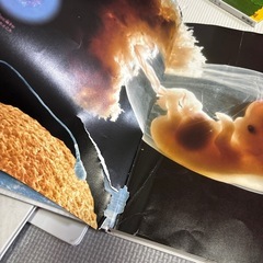小学館の図鑑　2冊セットの画像