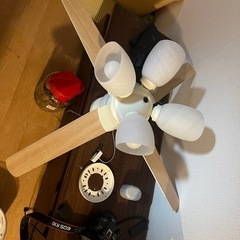 ファンライト
の画像