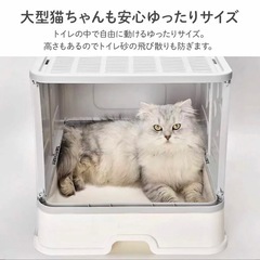 猫　トイレの画像