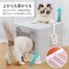 猫　トイレの画像