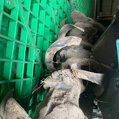クボタ　Kubota Midy　TMS30の画像