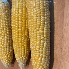 売り切れ❗️16時収穫❗️ 新鮮❗️とうもろこし🌽　10本の画像