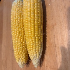 売り切れ❗️16時収穫❗️ 新鮮❗️とうもろこし🌽　10本の画像