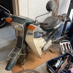 YAMAHA MATE の画像