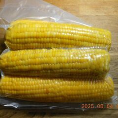 Einglishspeaking welcome  but no shipment Hand delivery　only とうもろこし　トウモロコシ　ゴールドラッシュ　朝取り　甘さNo1　5本　６００円の画像