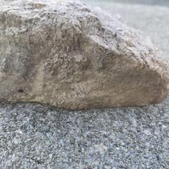 爬虫類用品の画像