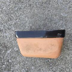 爬虫類用品の画像