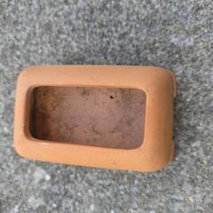 爬虫類用品の画像