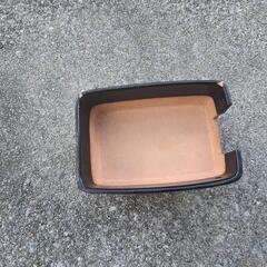 爬虫類用品の画像