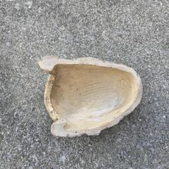 爬虫類用品の画像