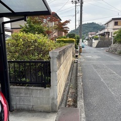 庭石の画像