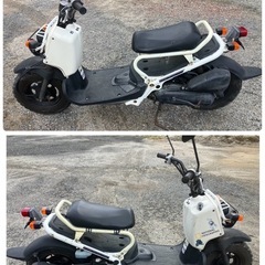 ✨好調車両✨ホンダ ズーマー AF58 白🏍️走行8373km💨 実働⚡ 原付スクーター🛵 通勤通学に◎ 足代わりにピッタリ🌟の画像