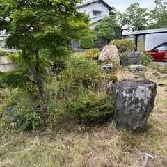 庭石の画像