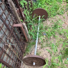 ダンベルの画像