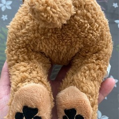 くつろぎ わんこ トイプードルの画像