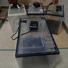 30センチ水槽エアポンプGEX1000、3セット35センチ水槽GEX1000エアポンプ1セット  1セット300円4セット1000円#キンギョ#メダカの画像