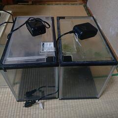 30センチ水槽エアポンプGEX1000、3セット35センチ水槽GEX1000エアポンプ1セット  1セット300円4セット1000円#キンギョ#メダカの画像