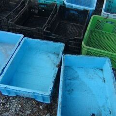 プラスチック製の容器 業務用 農作業用 あると便利 汚れてます 欲しい個数で結構です 早く引き取りに来れる方を優先させてもらいますの画像