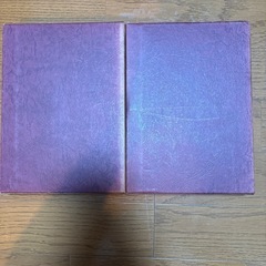 豪華版世界文学全集 17,18トルストイの画像