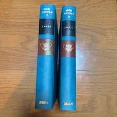 豪華版世界文学全集 17,18トルストイの画像