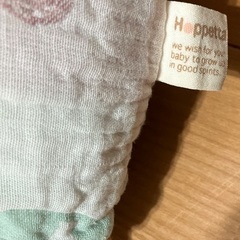 Hoppetta ホッペッタ シャンピニオン ママ&ベビー授乳クッションの画像