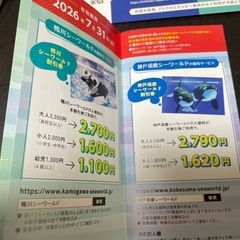 株主優待、四国水族館招待券。フジテレビ株主優待冊子の画像