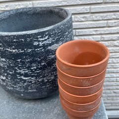 鉢植え２つとミニ鉢植え７個の画像