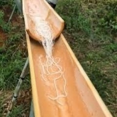 流しそうめん用竹（節なし）の画像
