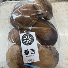 お家で栽培用のしいたけ菌床2個の画像