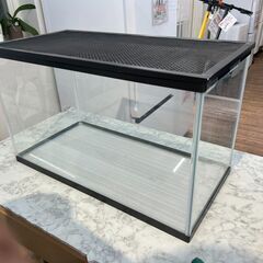 水槽  GEX 総額6570円 蓋つき 約  幅61×奥行31×高さ36cm🚚自社配送時💳代引き可🚚(現金、クレジット、スマホ決済対応)の画像