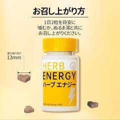 【新品未開封】HERB ENERGY ハーブエナジー 48g (60粒)の画像