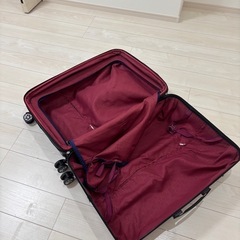 大きめキャリーケース　8月9日までの画像