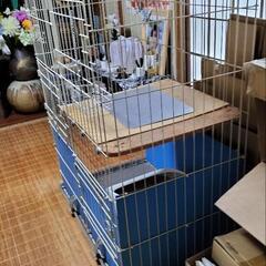 猫ゲ−ジ二階建ての画像