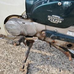 ホンダ カブ50の画像