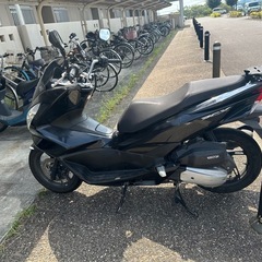 ホンダ PCX JF56の画像